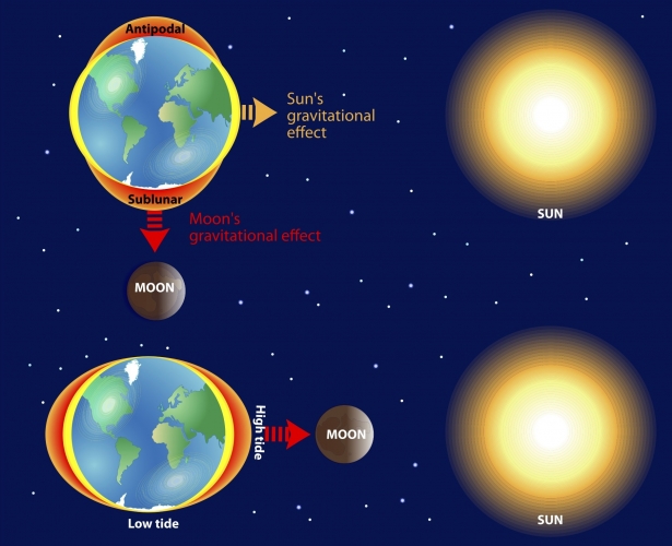 Image of how the moon changes the gravitational pull on the earth. 